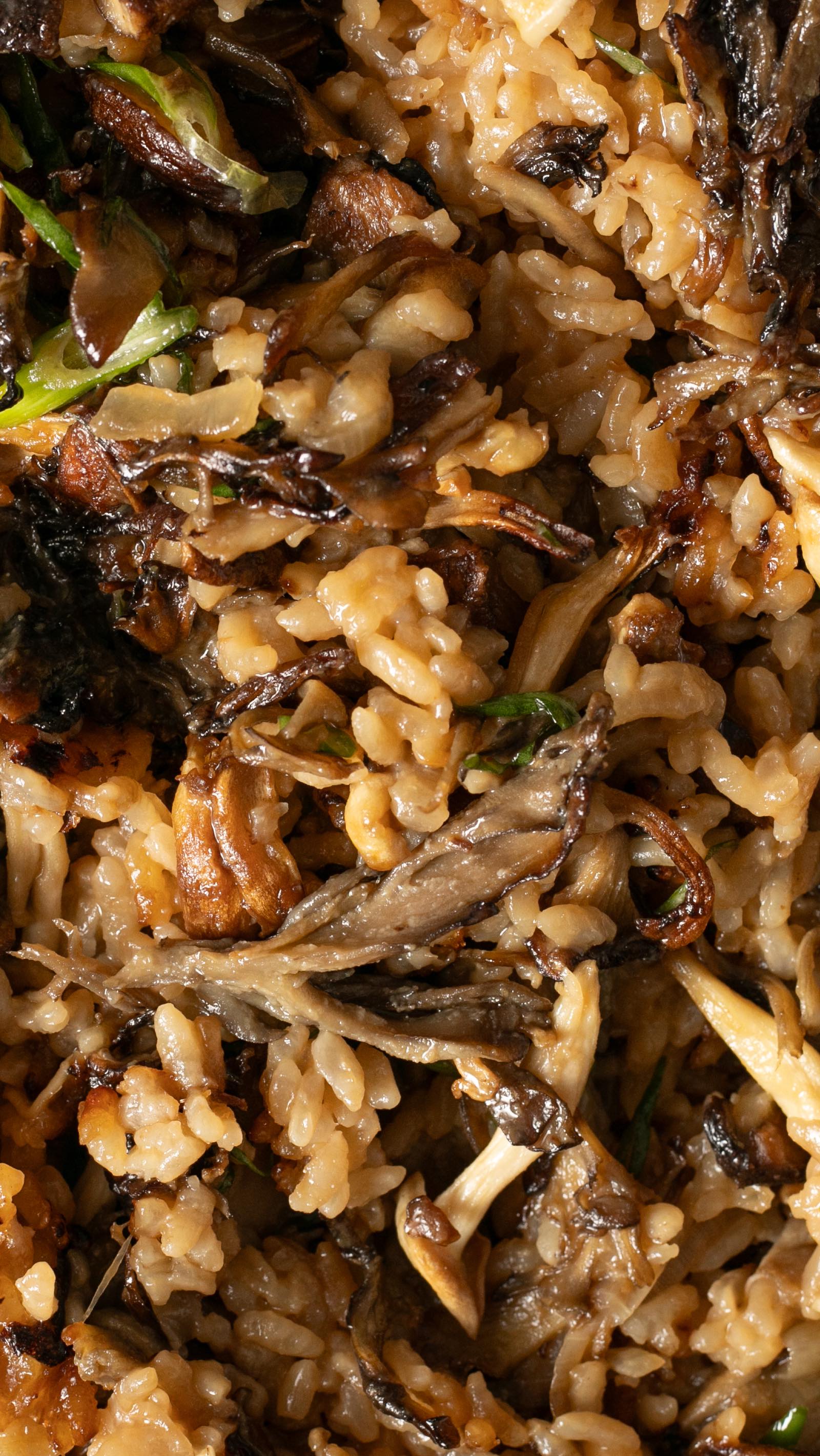 Crispy Rice with Assorted Mushrooms
