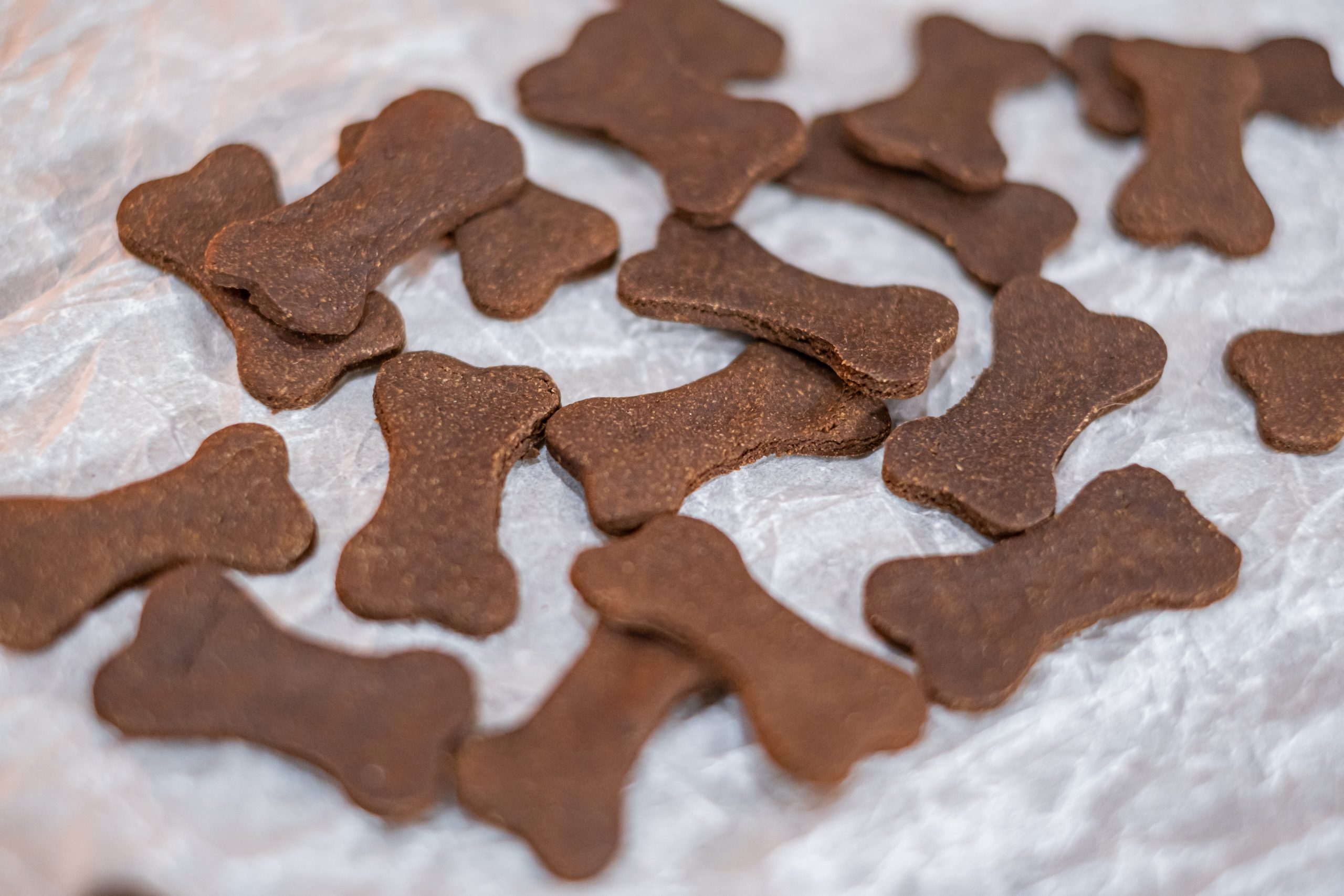 Enkla hundkex (veganska) mumma